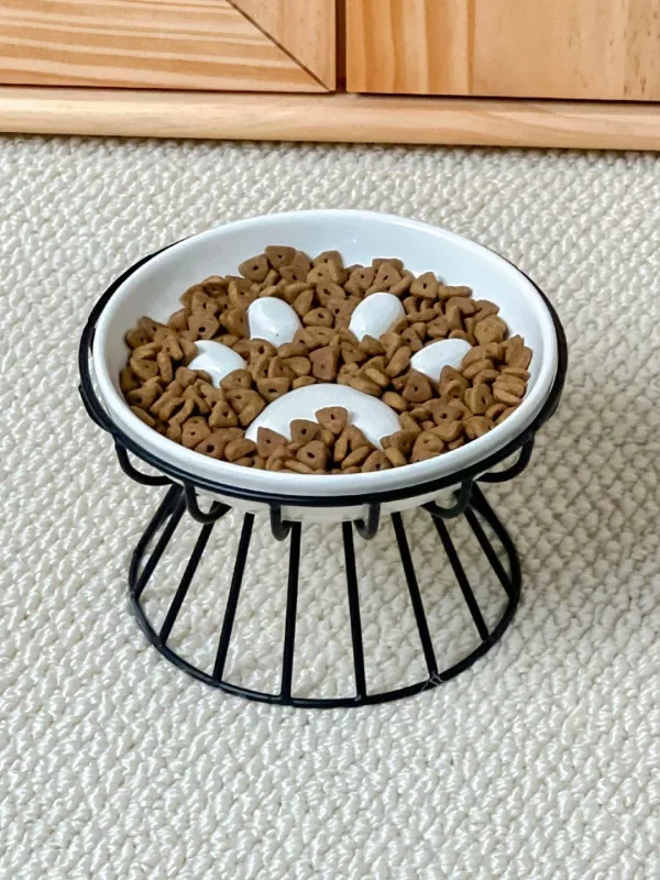 Gamelle Anti Glouton Chat Surélevée pour animaux