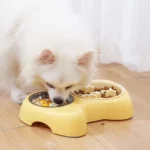 gamelle anti-glouton chat double pour chiot et chaton