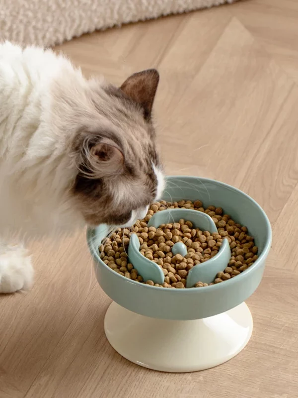 gamelle anti-glouton céramique surélevée pour animaux