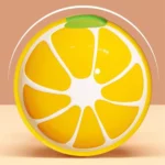 gamelle céramique surélevée fruit pour croquettes