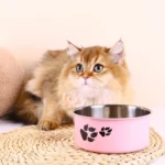 Gamelle en inox pour chien avec motif patte