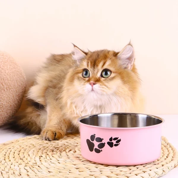 Gamelle en inox pour chien avec motif patte