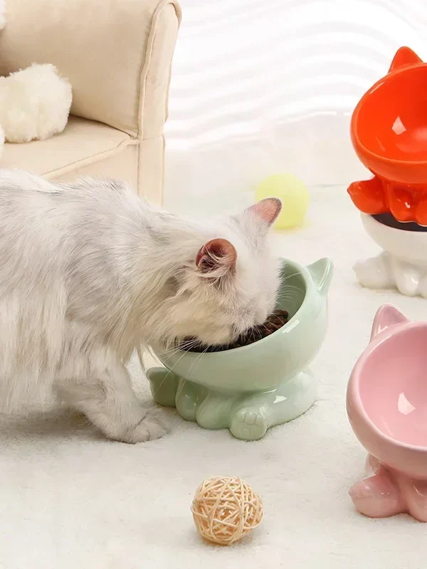 gamelle surélevée chat pour chien et chat