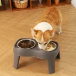 gamelle double inox surélevée pour chiens et chats