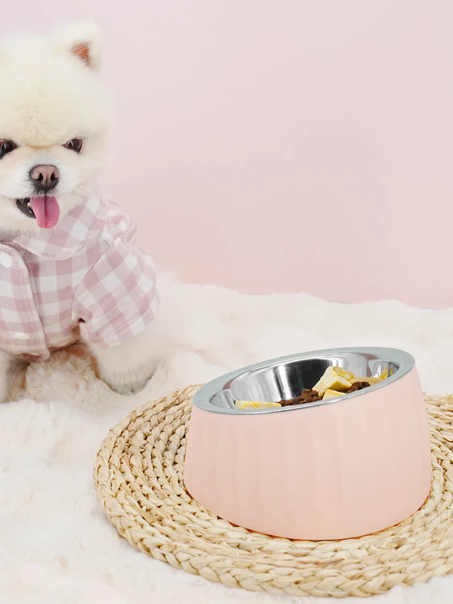 Gamelle Chien Inox Inclinée pour animaux