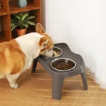 gamelle double inox surélevée pour chien et chat