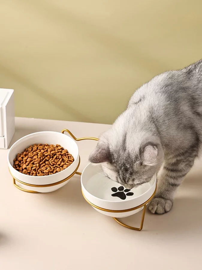 gamelle chien céramique double pour animaux