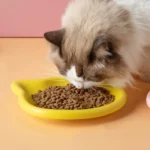 gamelle chat plastique pour chat