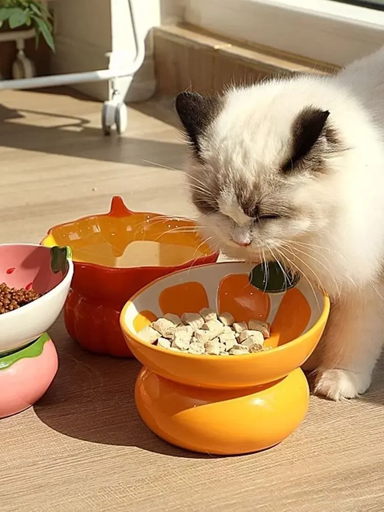 gamelle céramique surélevée fruit pour chien et chat