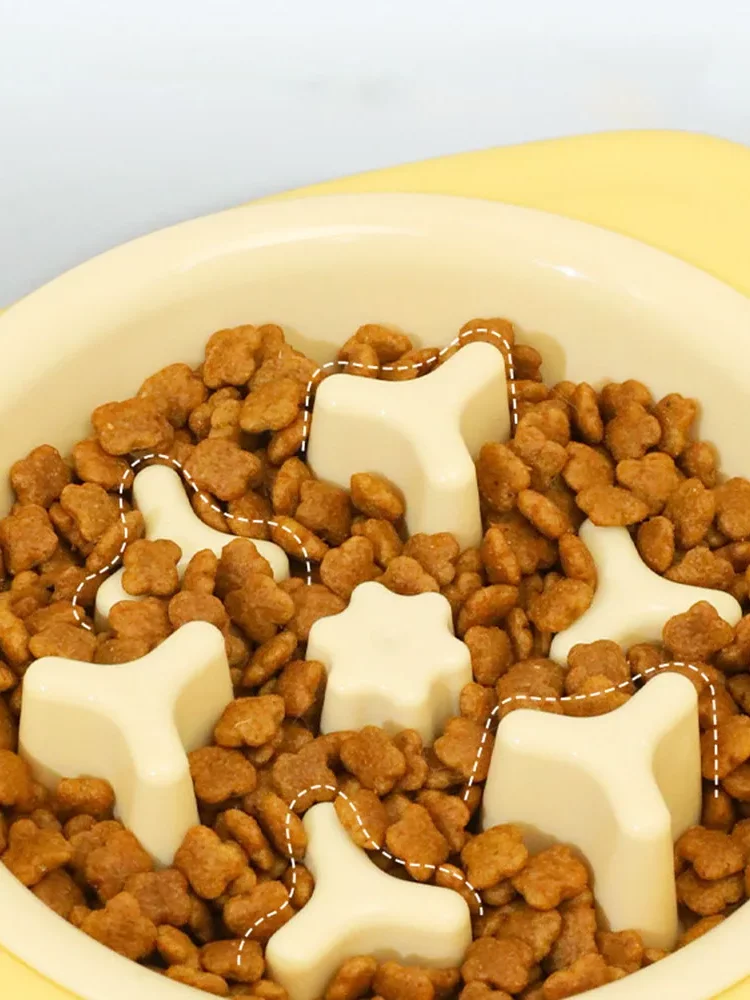 gamelle anti-glouton chat double pour chien et chat