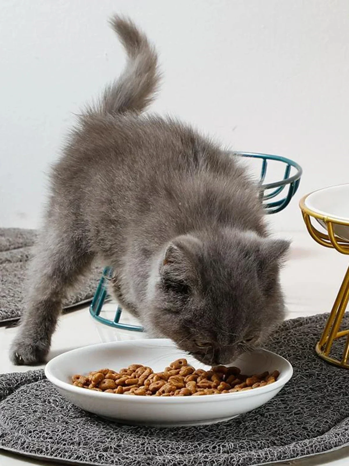 Gamelle surélevée en céramique, idéale pour le confort de votre chien.