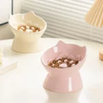 Gamelle inclinée pour chat qui évite la nourriture avalée trop vite