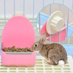 gamelle rongeur plastique pour rongeur