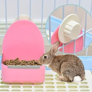 gamelle rongeur plastique pour rongeur