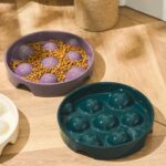 gamelle anti glouton chien céramique pour animaux