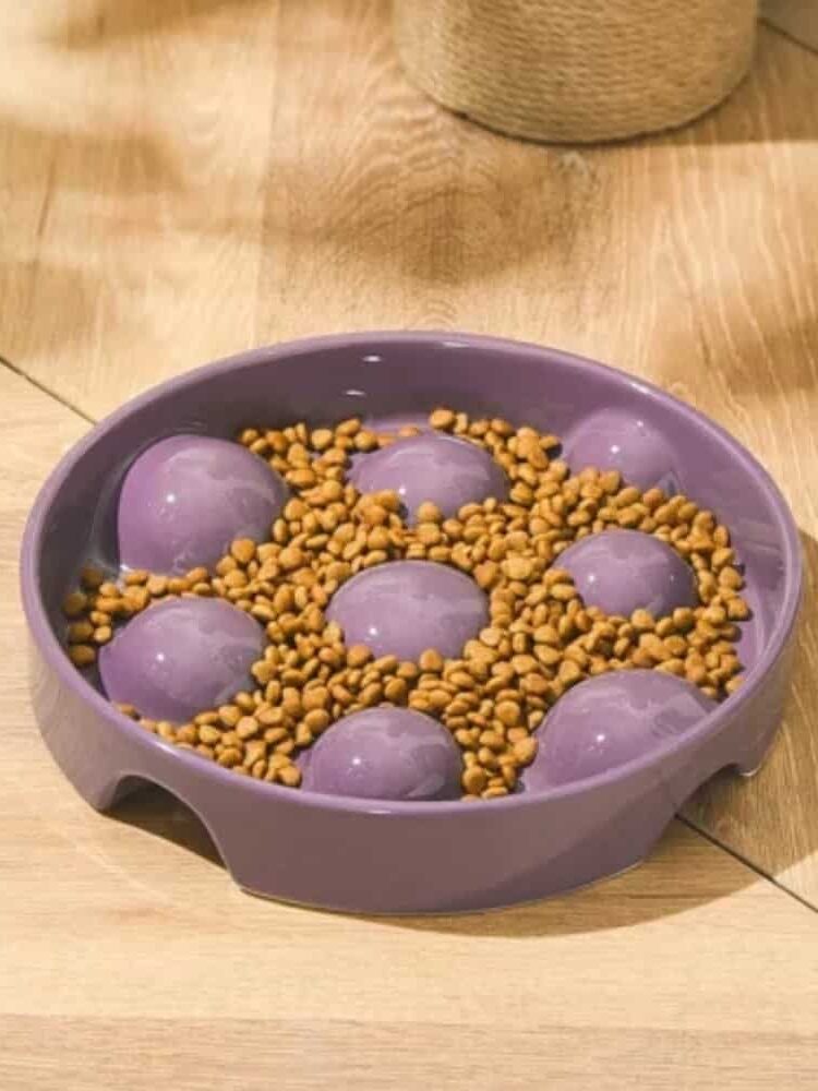 gamelle anti glouton chien céramique pour animaux