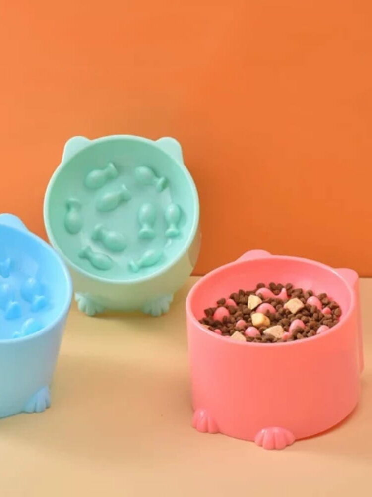 gamelle anti glouton chat poisson pour chien et chat