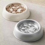 gamelle anti glouton chien patte pour chien et chat