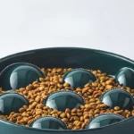 Gamelle céramique anti glouton pour chiens, design fonctionnel