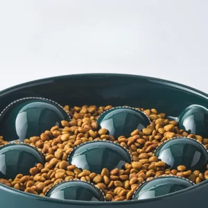 Gamelle céramique anti glouton pour chiens, design fonctionnel
