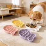 gamelle anti-glouton chien poisson pour animal