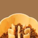 Gamelle Anti-Glouton Chien Ergonomique pour animal