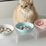 gamelle anti-glouton chat support pour animal