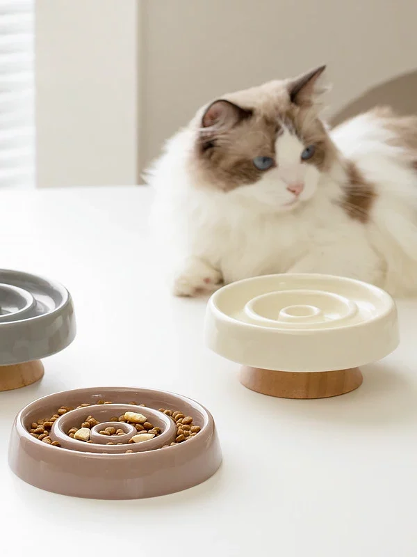 gamelle anti glouton chien spirale pour chien et chat