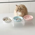 gamelle anti-glouton chat support pour animaux