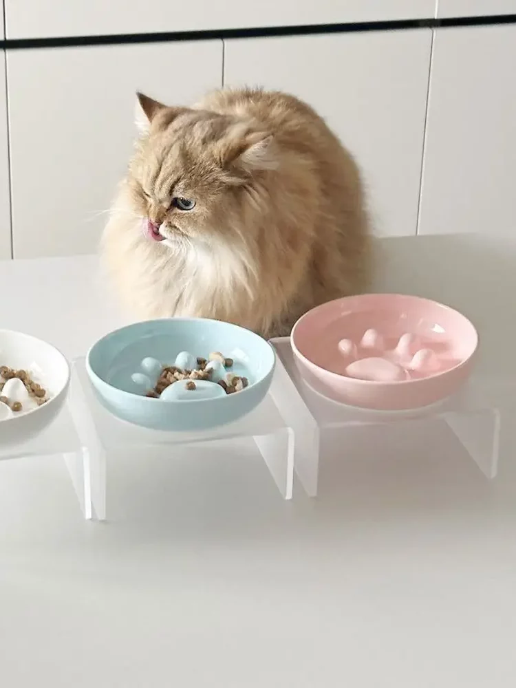 Gamelle Anti-Glouton Chat Support pour chien et chat