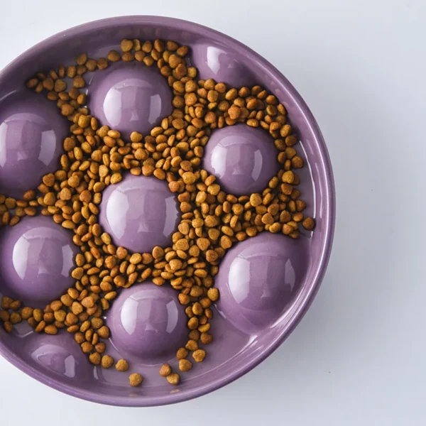 Gamelle Anti Glouton Chien en céramique pour une alimentation saine