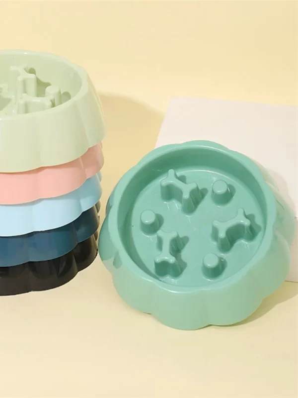 Gamelle anti glouton chat os pour chien et chat