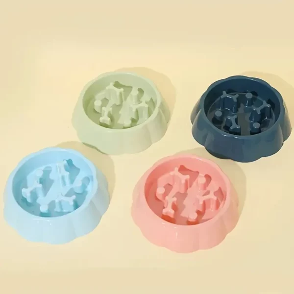 gamelle anti glouton chat os pour animaux