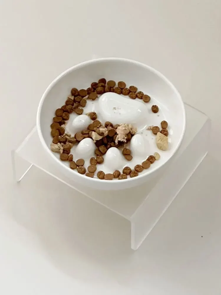 Gamelle Anti-Glouton Chat Support pour animaux