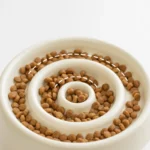 gamelle anti glouton chien spirale pour animal