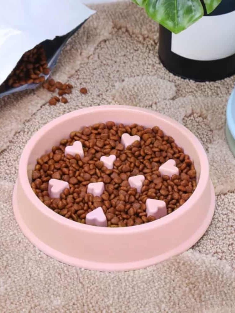Gamelle Anti Glouton Chat Cœur pour animaux
