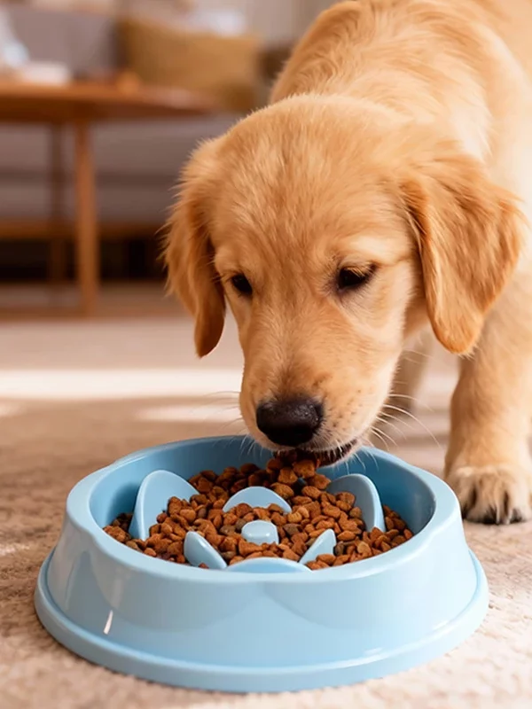 Gamelle Anti Glouton Chat Rose pour chien et chat