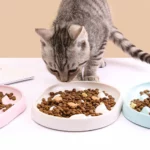 Gamelle Anti Glouton Chat Poissons pour chaton et chiot