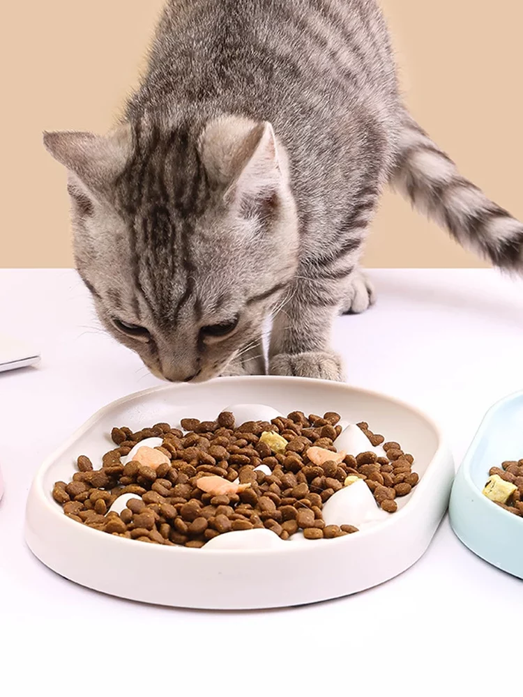 Gamelle Anti Glouton Chat Poissons pour chien et chat