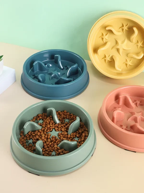 gamelle anti glouton chat etoile pour chien et chat