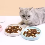 Gamelle Anti Glouton Chat Poissons pour chiens et chats