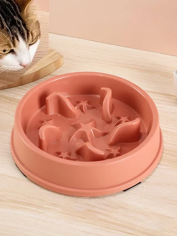 gamelle anti glouton chat etoile pour animaux