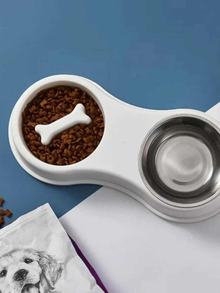 gamelle chat double anti glouton pour chien et chat