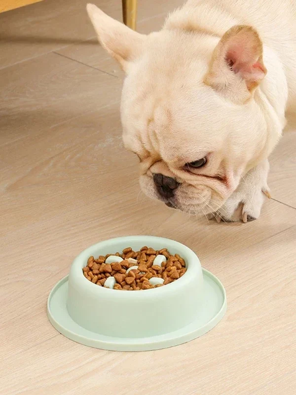 gamelle anti-glouton chat ronde pour chiens et chats