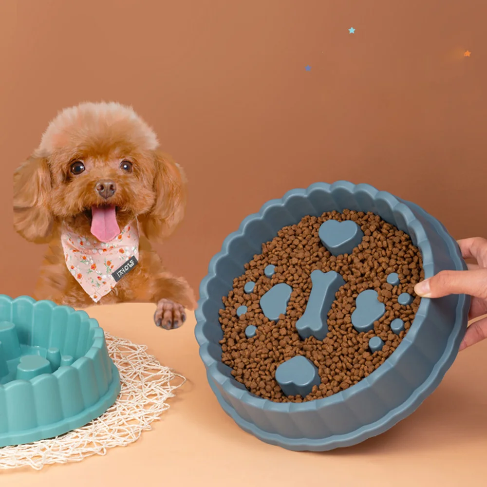 Gamelle Anti-Glouton Chien Cœur pour animaux