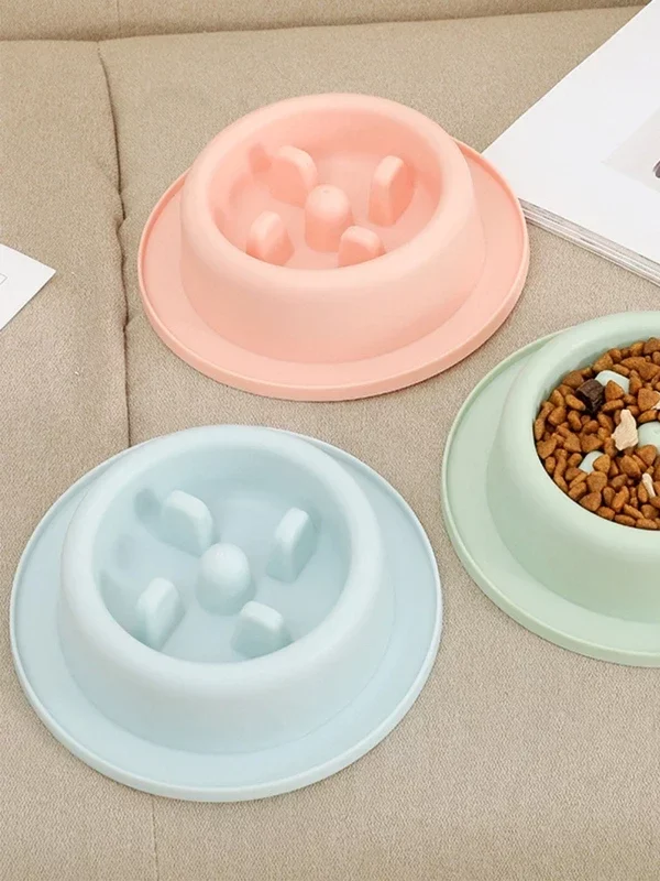 gamelle anti-glouton chat ronde pour chien et chat