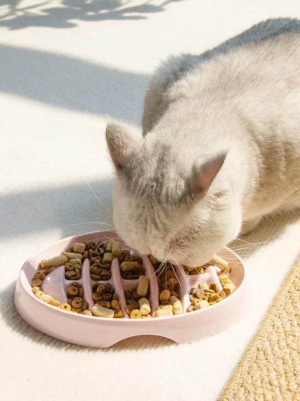 Gamelle AntiGlouton Chat Poisson pour chiens et chats